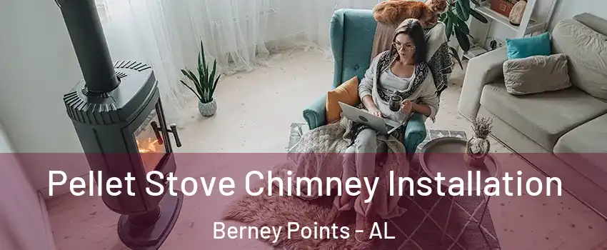 Pellet Stove Chimney Installation Berney Points - AL