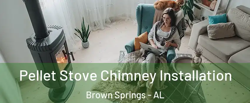 Pellet Stove Chimney Installation Brown Springs - AL
