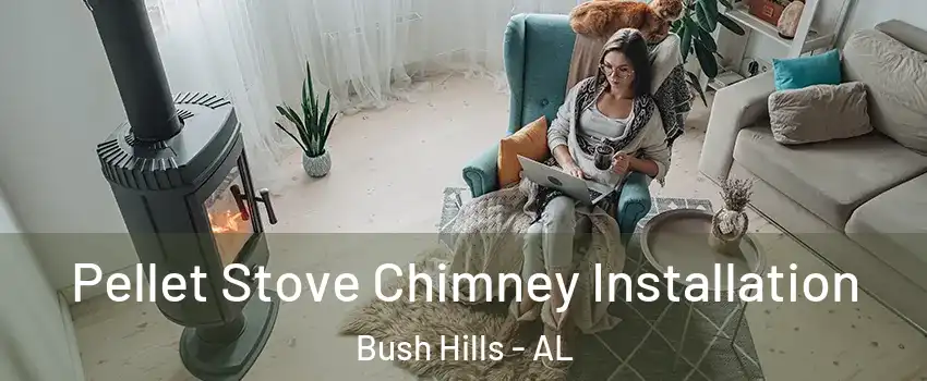 Pellet Stove Chimney Installation Bush Hills - AL