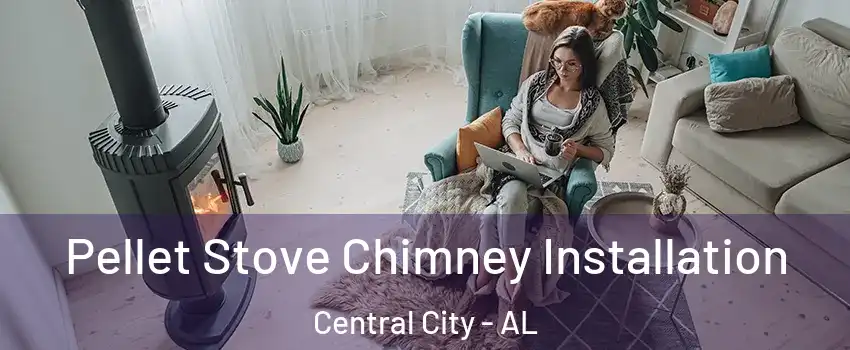 Pellet Stove Chimney Installation Central City - AL