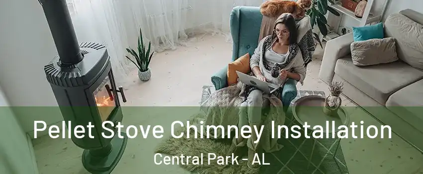 Pellet Stove Chimney Installation Central Park - AL