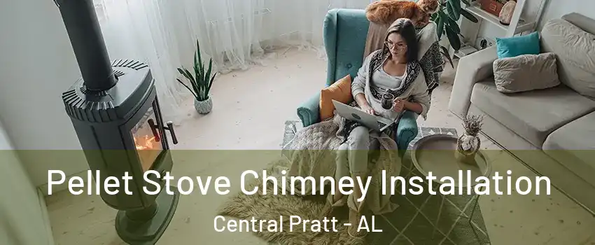 Pellet Stove Chimney Installation Central Pratt - AL