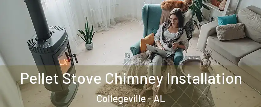 Pellet Stove Chimney Installation Collegeville - AL
