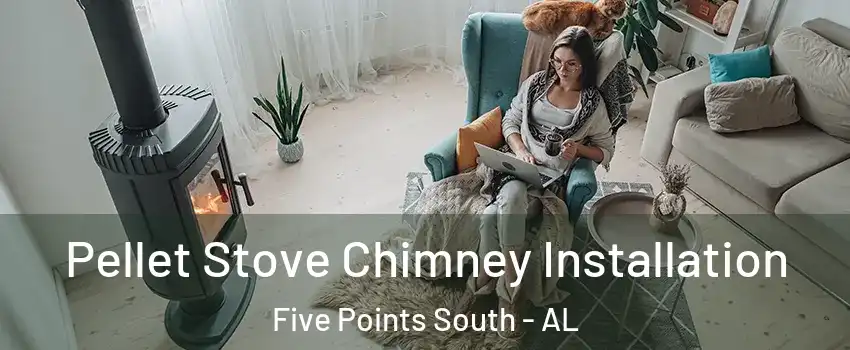 Pellet Stove Chimney Installation Five Points South - AL