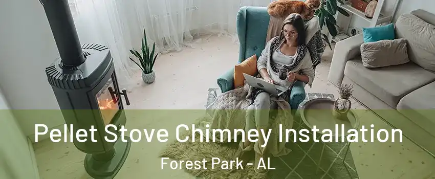 Pellet Stove Chimney Installation Forest Park - AL
