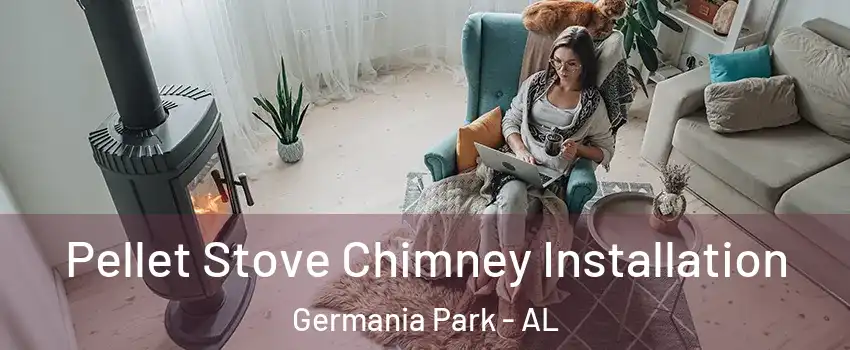 Pellet Stove Chimney Installation Germania Park - AL