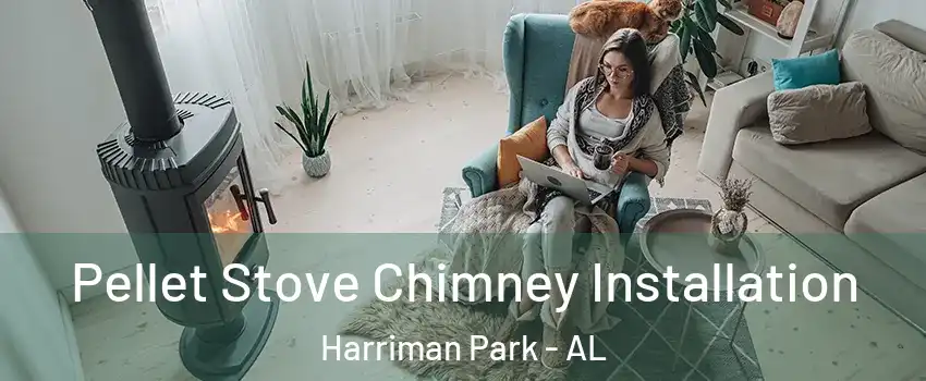 Pellet Stove Chimney Installation Harriman Park - AL