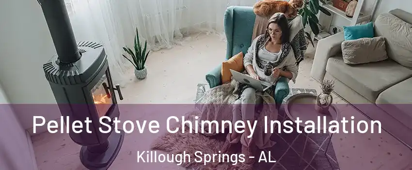 Pellet Stove Chimney Installation Killough Springs - AL