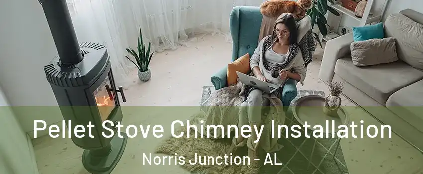 Pellet Stove Chimney Installation Norris Junction - AL