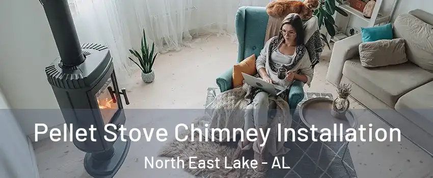 Pellet Stove Chimney Installation North East Lake - AL