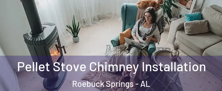 Pellet Stove Chimney Installation Roebuck Springs - AL
