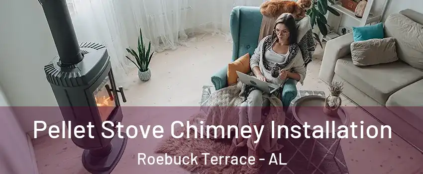 Pellet Stove Chimney Installation Roebuck Terrace - AL