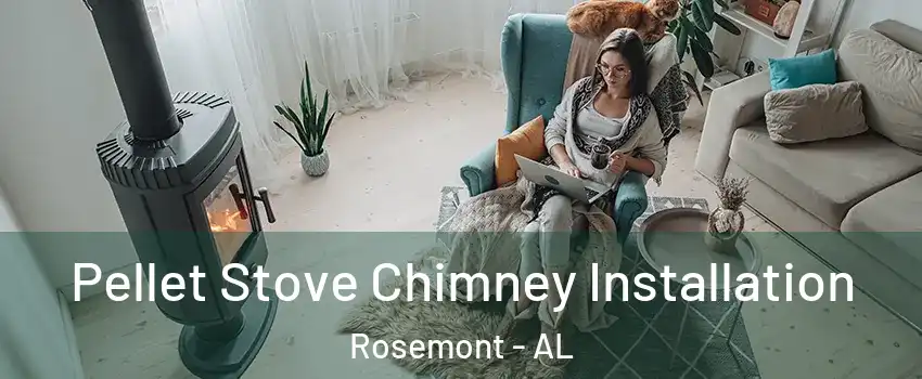 Pellet Stove Chimney Installation Rosemont - AL