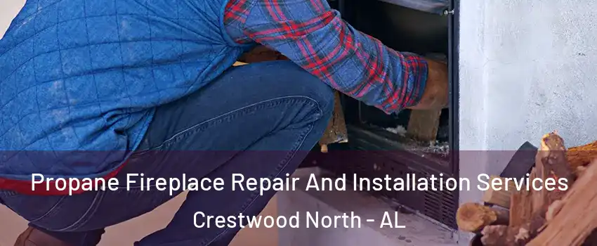 Propane Fireplace Repair And Installation Services Crestwood North - AL
