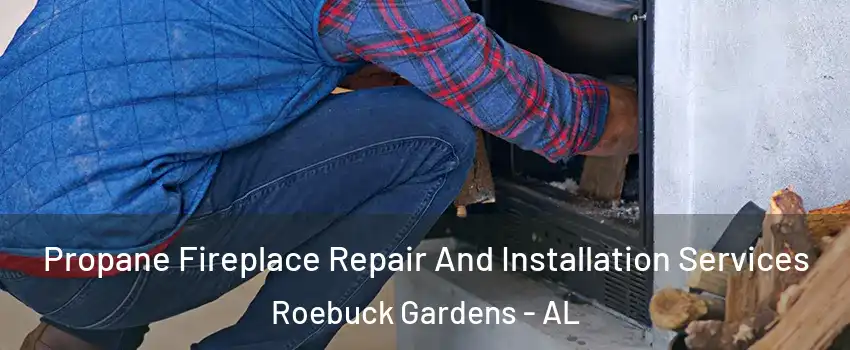 Propane Fireplace Repair And Installation Services Roebuck Gardens - AL
