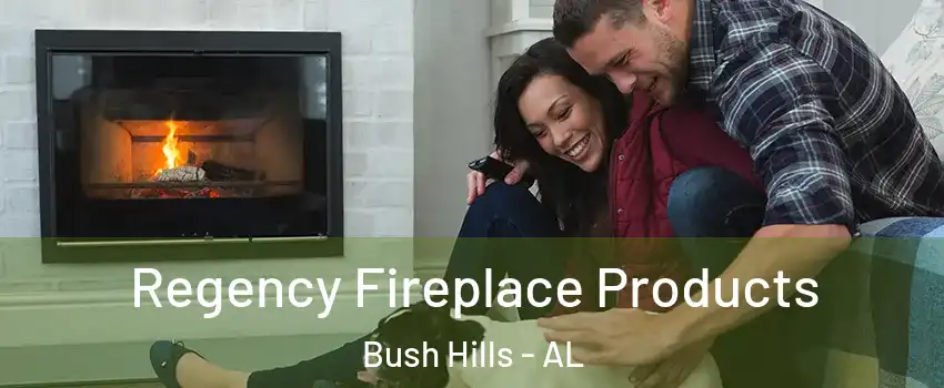 Regency Fireplace Products Bush Hills - AL