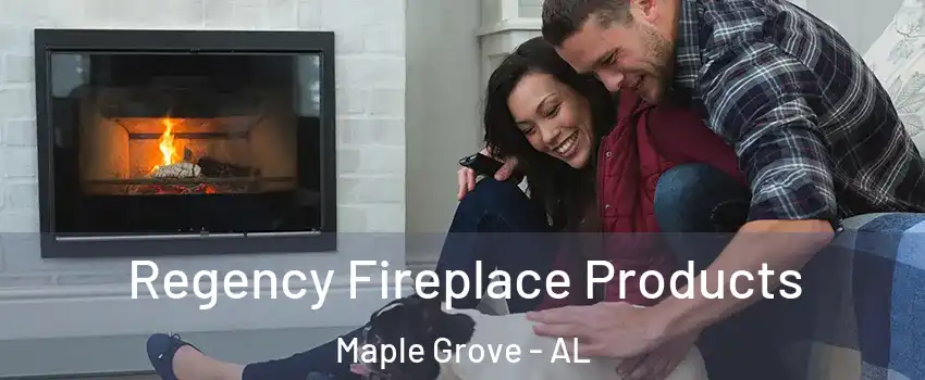 Regency Fireplace Products Maple Grove - AL