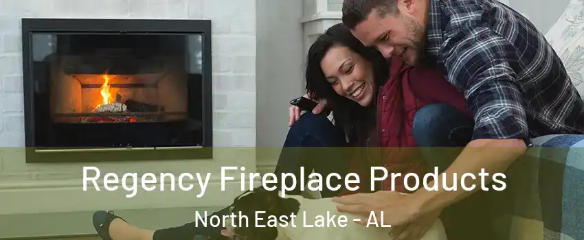 Regency Fireplace Products North East Lake - AL