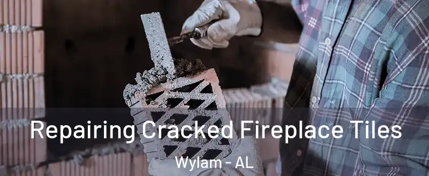 Repairing Cracked Fireplace Tiles Wylam - AL