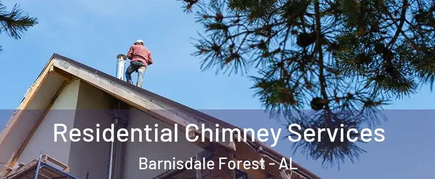 Residential Chimney Services Barnisdale Forest - AL
