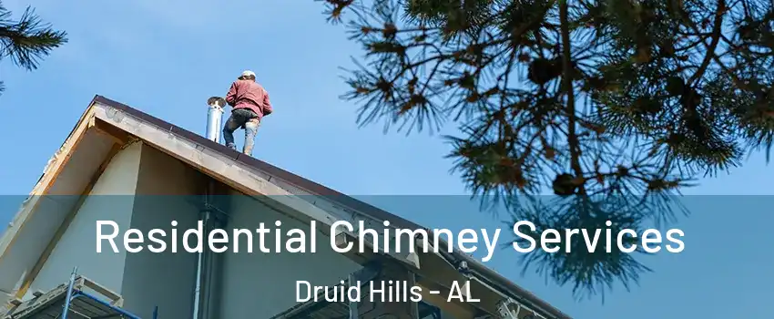 Residential Chimney Services Druid Hills - AL
