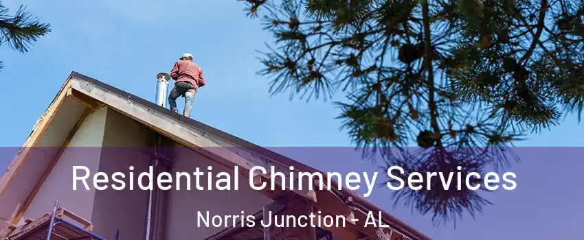 Residential Chimney Services Norris Junction - AL