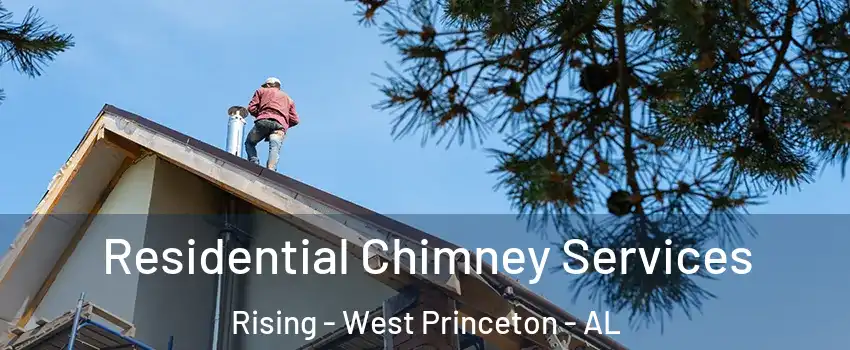 Residential Chimney Services Rising - West Princeton - AL
