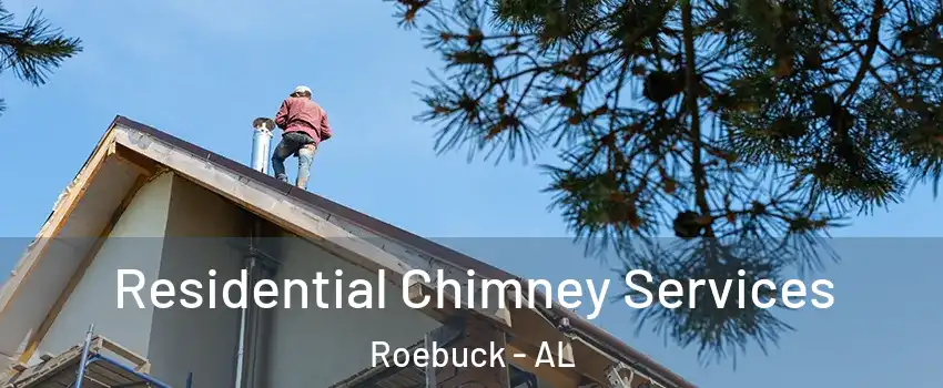 Residential Chimney Services Roebuck - AL