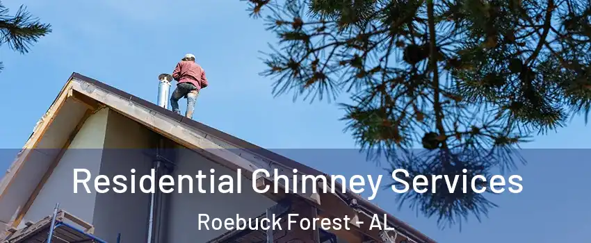 Residential Chimney Services Roebuck Forest - AL