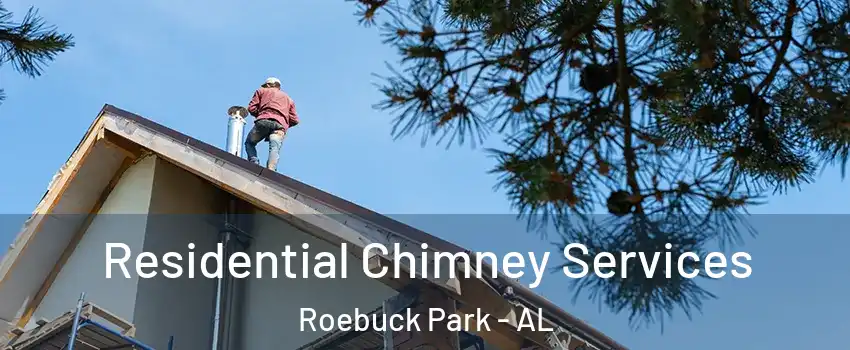 Residential Chimney Services Roebuck Park - AL