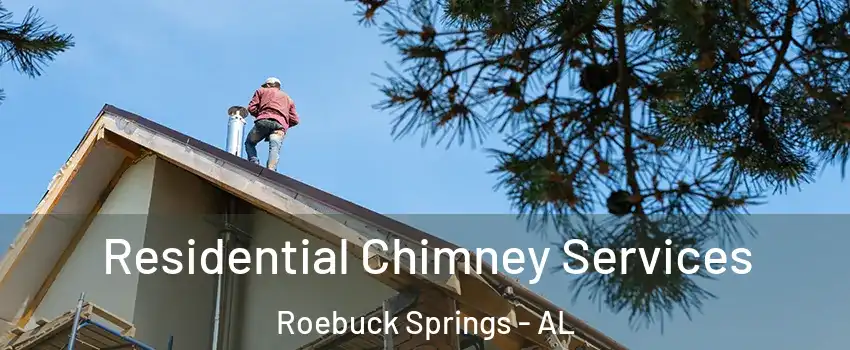 Residential Chimney Services Roebuck Springs - AL