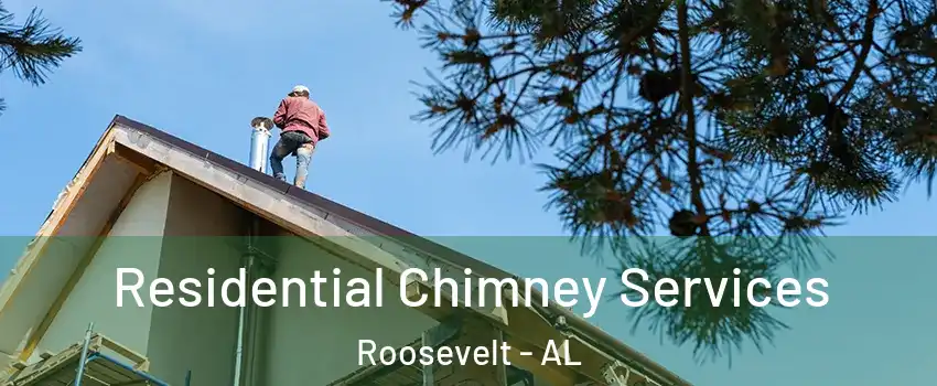 Residential Chimney Services Roosevelt - AL