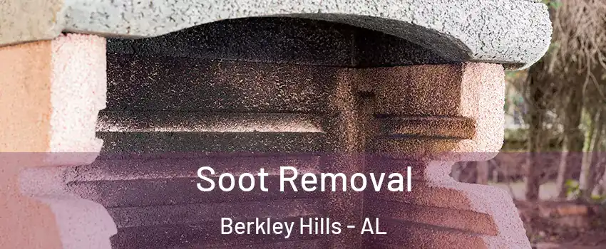Soot Removal Berkley Hills - AL