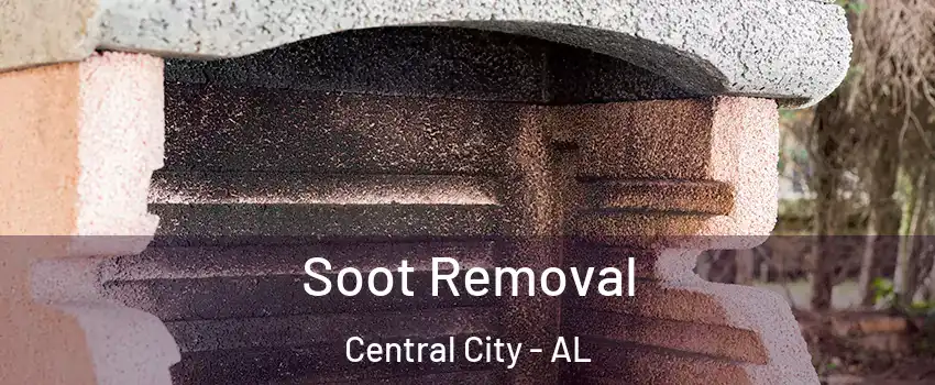 Soot Removal Central City - AL