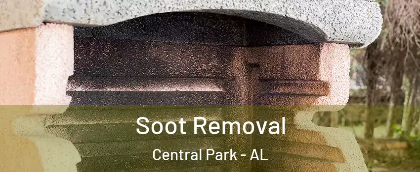 Soot Removal Central Park - AL