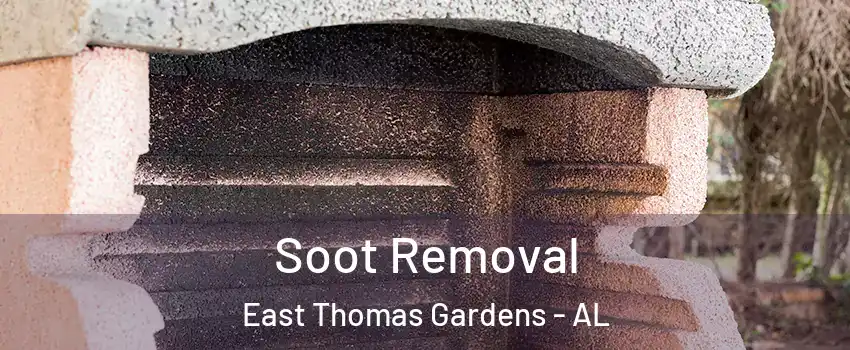 Soot Removal East Thomas Gardens - AL