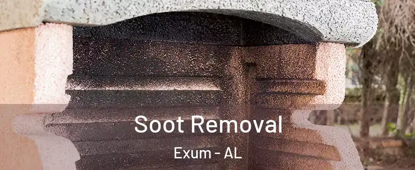 Soot Removal Exum - AL