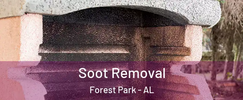 Soot Removal Forest Park - AL