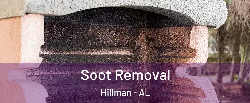 Soot Removal Hillman - AL