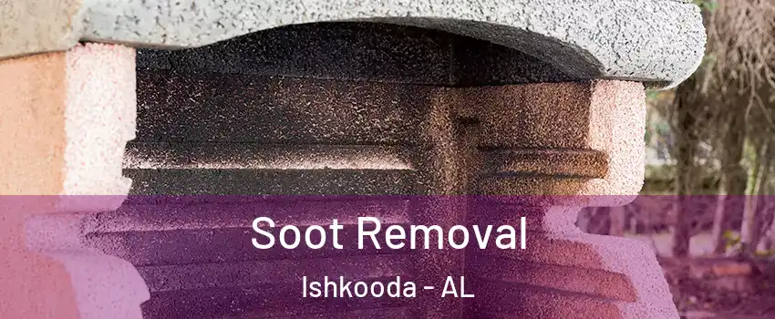 Soot Removal Ishkooda - AL