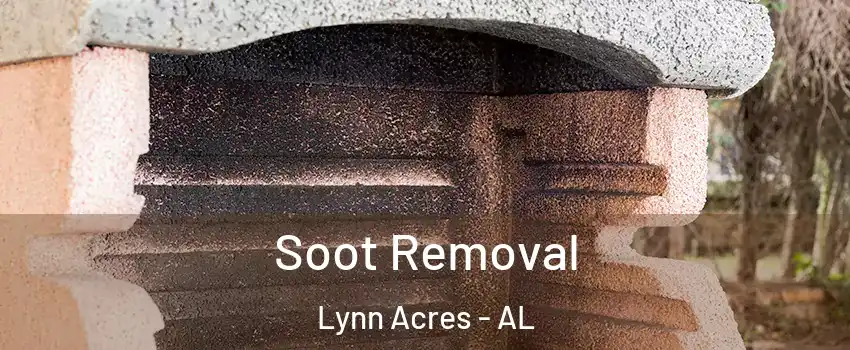 Soot Removal Lynn Acres - AL