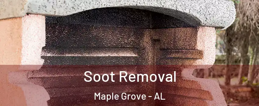 Soot Removal Maple Grove - AL