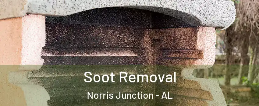 Soot Removal Norris Junction - AL