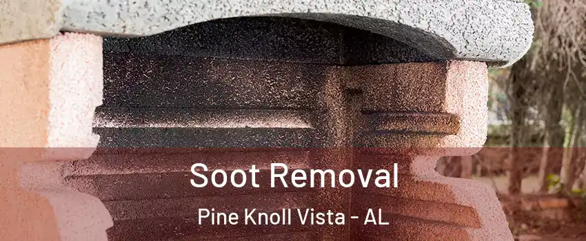 Soot Removal Pine Knoll Vista - AL