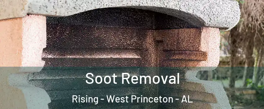 Soot Removal Rising - West Princeton - AL
