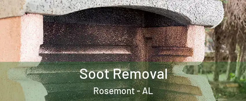 Soot Removal Rosemont - AL