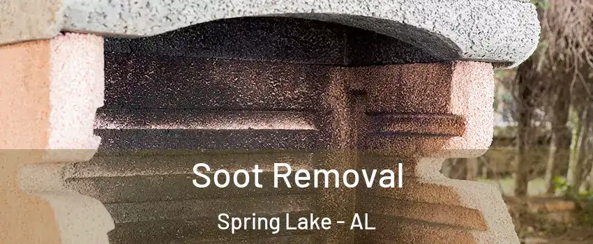 Soot Removal Spring Lake - AL