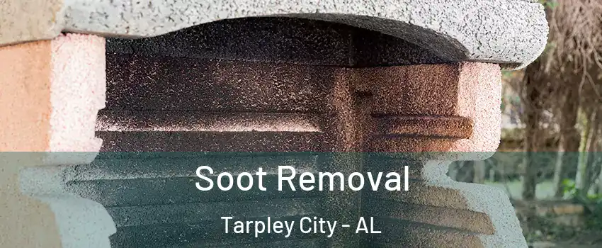 Soot Removal Tarpley City - AL