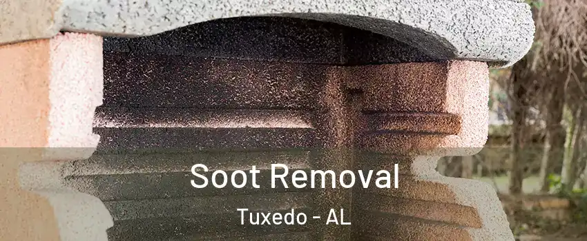 Soot Removal Tuxedo - AL