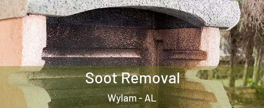 Soot Removal Wylam - AL